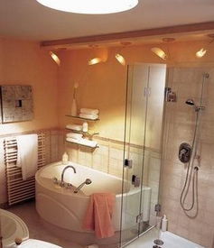 衛(wèi)浴裝修效果圖 衛(wèi)浴裝修