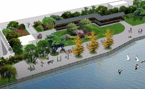 主城區(qū)今年將新建綠地24.9公頃 打造城市生態(tài)新畫卷，共繪家門口的綠色福祉